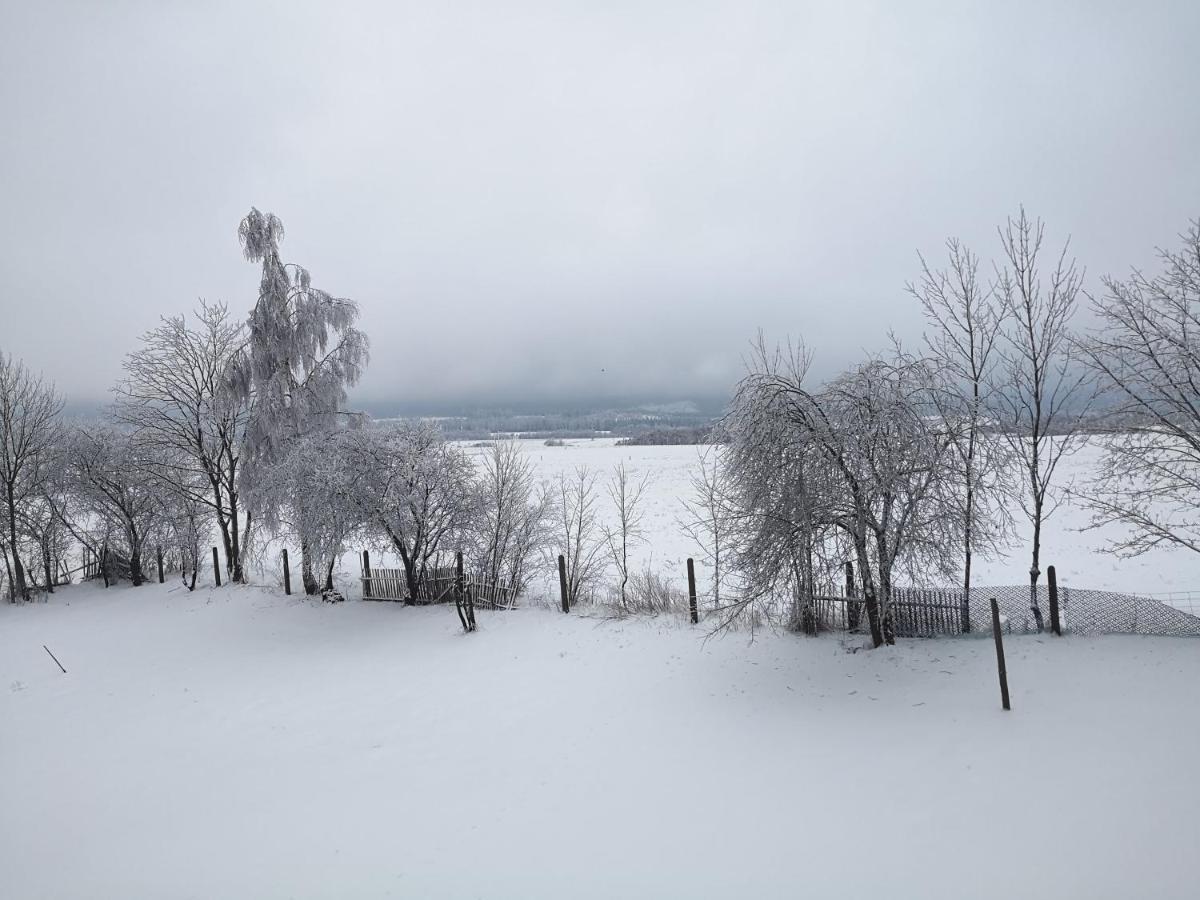 Agroturystyka Cieslarowka Lubawka Exterior foto