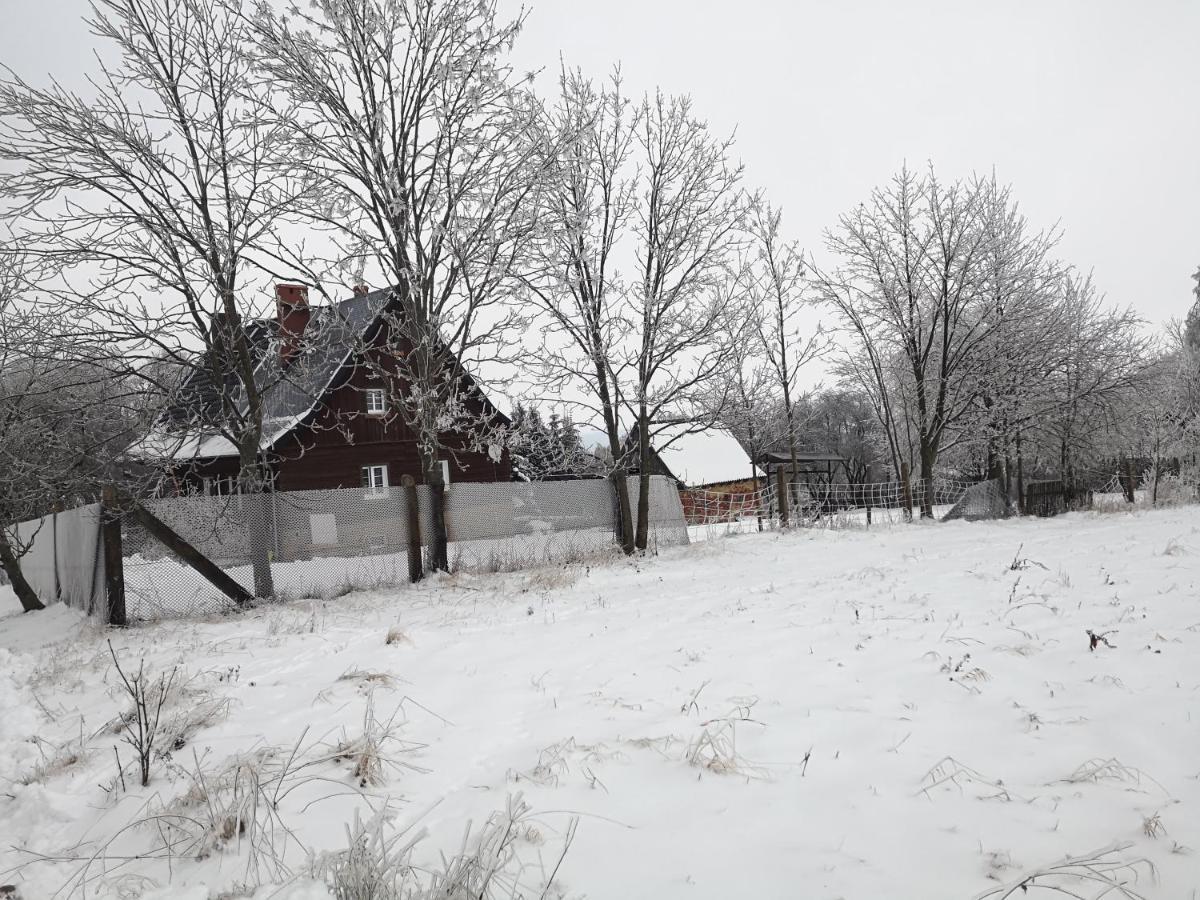 Agroturystyka Cieslarowka Lubawka Exterior foto